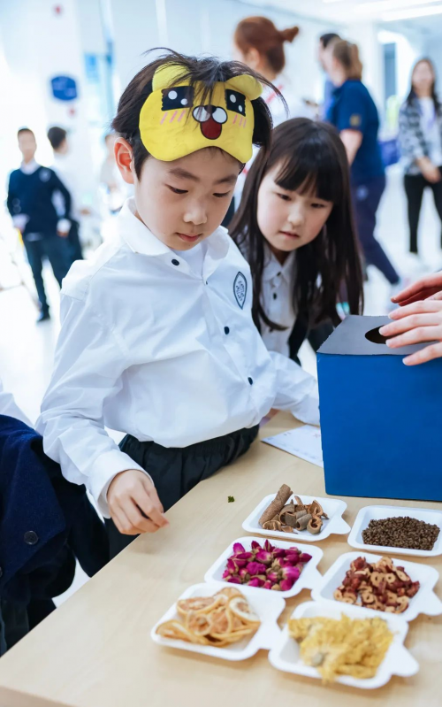 杭州威雅学校：科学遇上文化，小学部科学周创新之旅