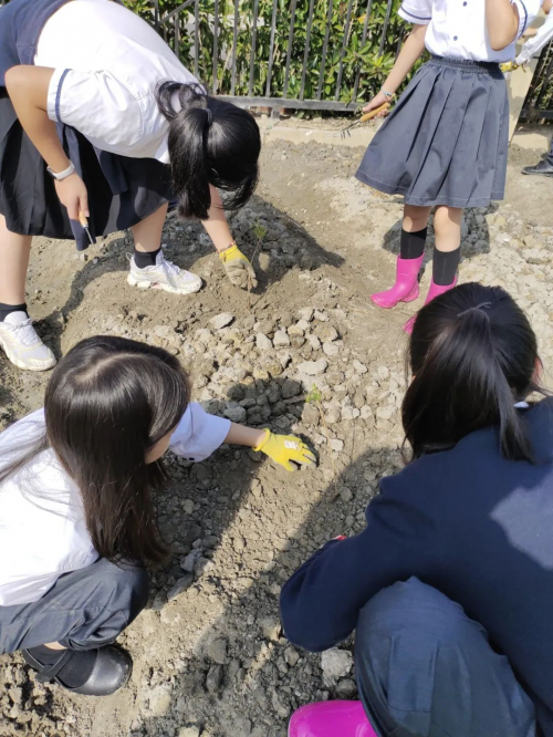 杭州威雅学校：科学遇上文化，小学部科学周创新之旅