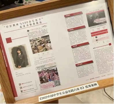 核心课程| 从“知识论（TOK）成果展”看朝阳凯文学子如何驾驭IB课程