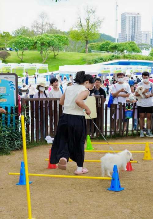 第七届5·29深圳爱犬日：依法文明养犬,共享和谐家园