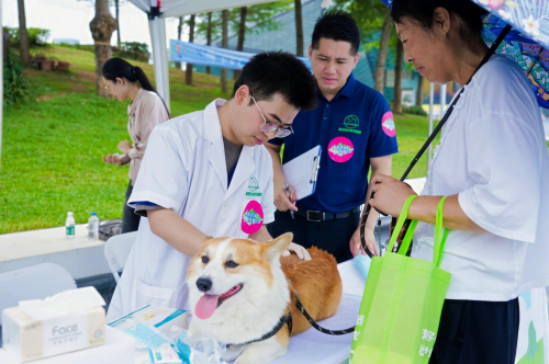 第七届5·29深圳爱犬日：依法文明养犬,共享和谐家园