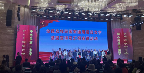 让美育之光照亮边疆————“育青苗，铸红魂”来自大山公益团队参加藏区基层宣讲活动