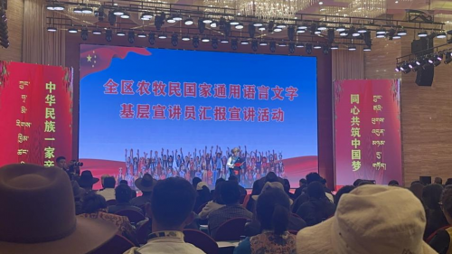 让美育之光照亮边疆————“育青苗，铸红魂”来自大山公益团队参加藏区基层宣讲活动