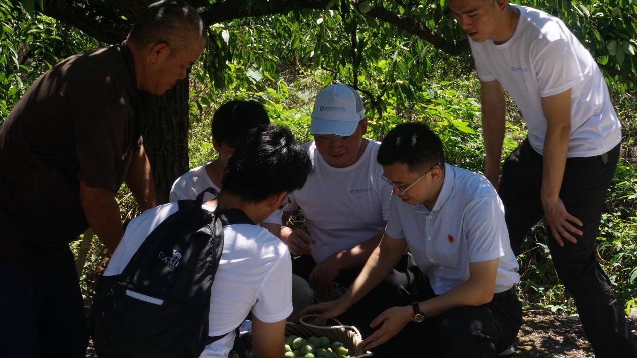 青春执"三色笔"绘山城！重庆应用职院学子"三下乡"交出时代答卷