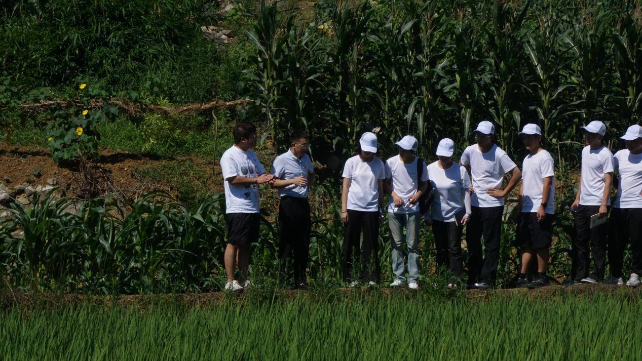青春执"三色笔"绘山城！重庆应用职院学子"三下乡"交出时代答卷