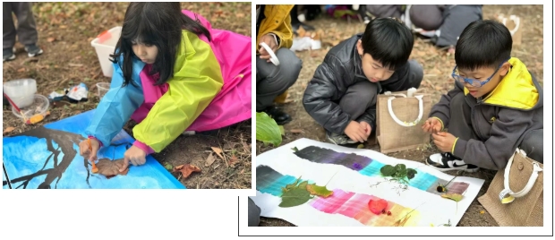 国际化环境中的慢养童年丨朝阳凯文学前班的“野生”教育法则，入班享超值优惠