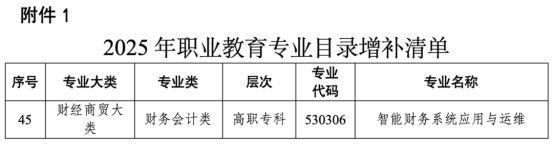 重磅首发！教育部新增高职专科“智能财务系统应用与运维”专业